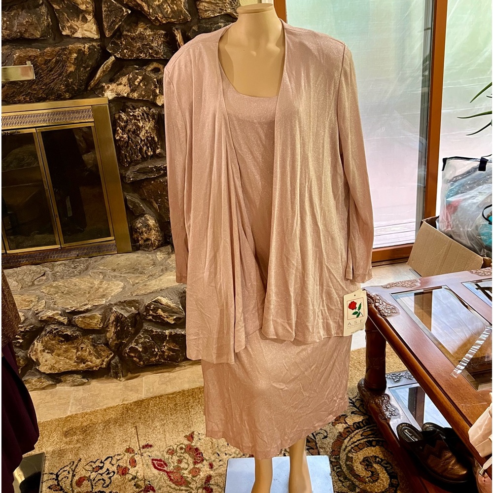 A.S.E. NWT Pink Simmering 2 pc. Dress
